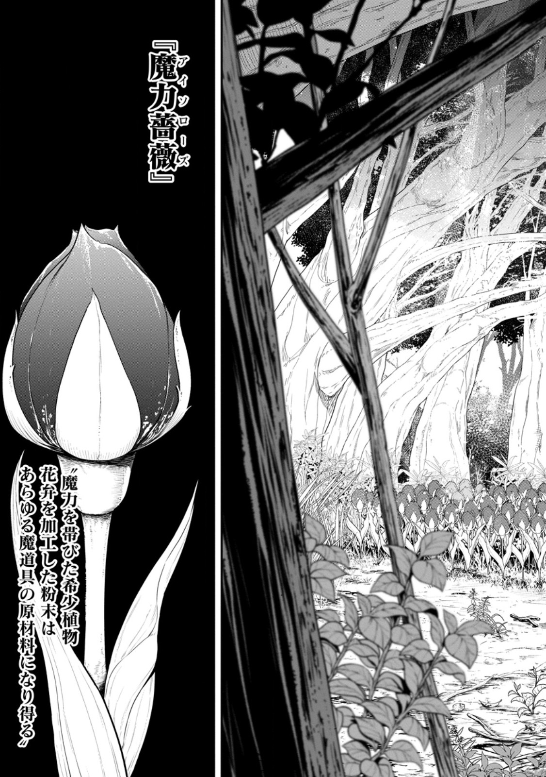 Zatsuyou Fuyojutsushi ga Jibun no Saikyou ni Kidzuku made Chapter 56.1 7ページ