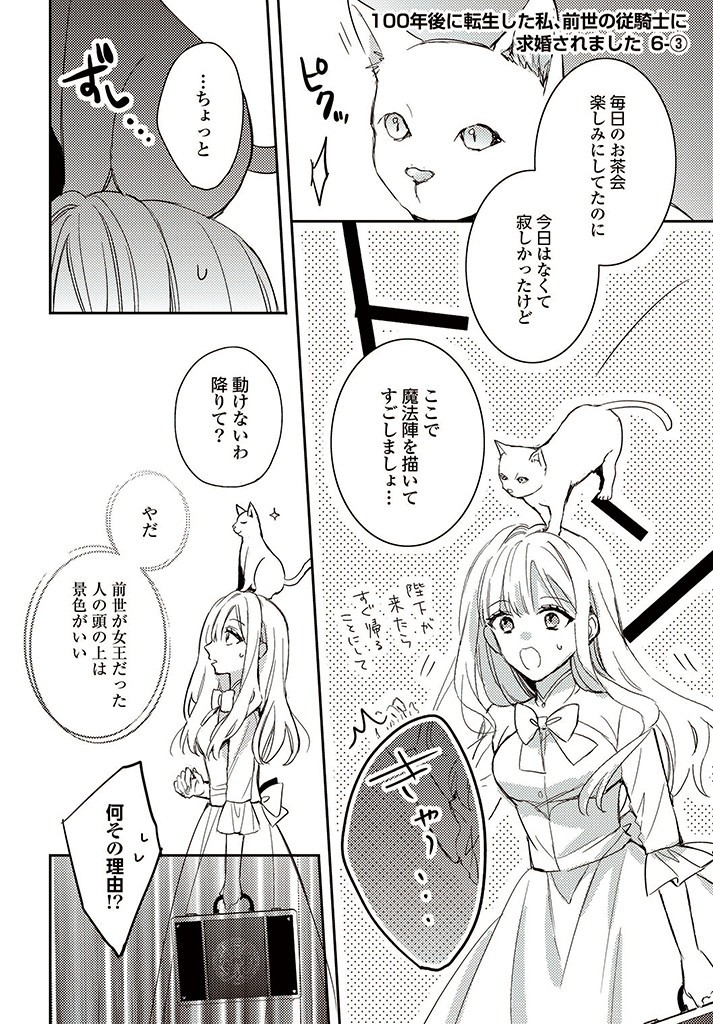 100-nen Go ni Tensei Shita Watashi, Zense no Joukishi ni Kyuukonsaremashita Chapter 6.3 1ページ
