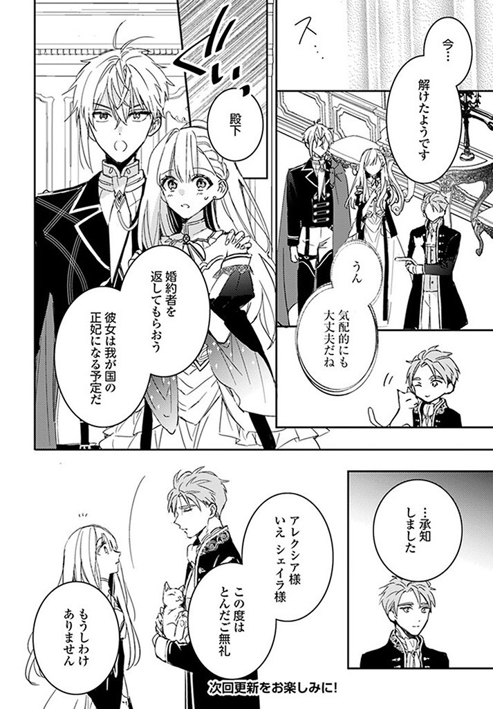 100-nen Go ni Tensei Shita Watashi, Zense no Joukishi ni Kyuukonsaremashita Chapter 15.3 11ページ