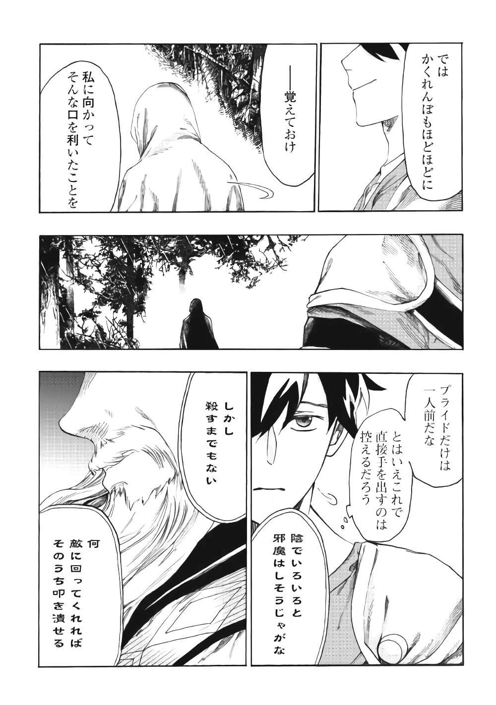 Almadianos Eiyuuden Chapter 13 12ページ
