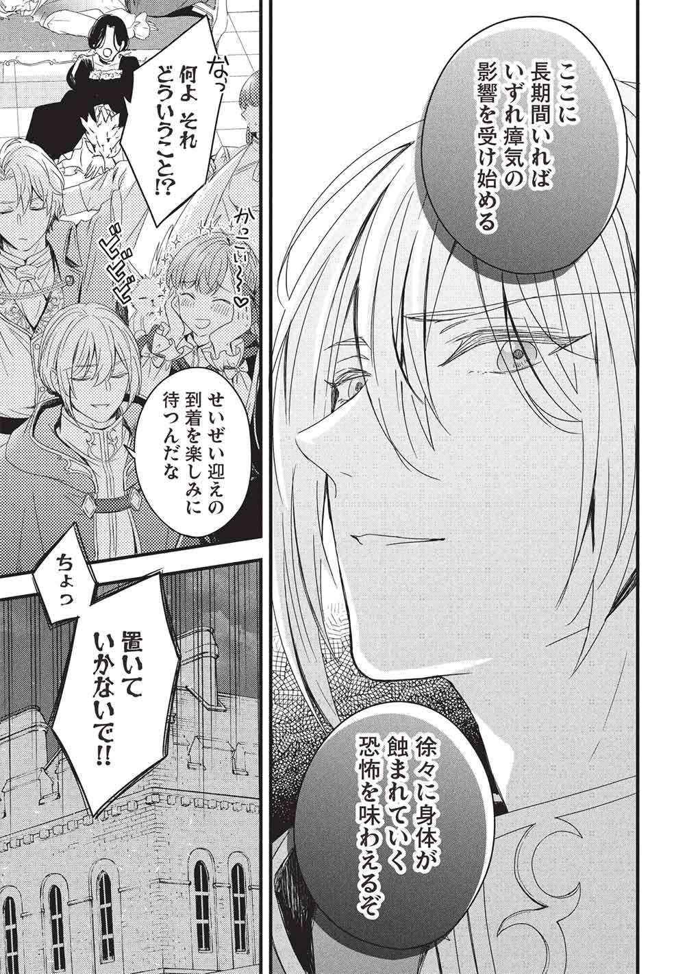 Grand Avail - Omamori no Madoushi wa Saioshi Last Boss Onii-sama wo Sukuitai Chapter 33 23ページ