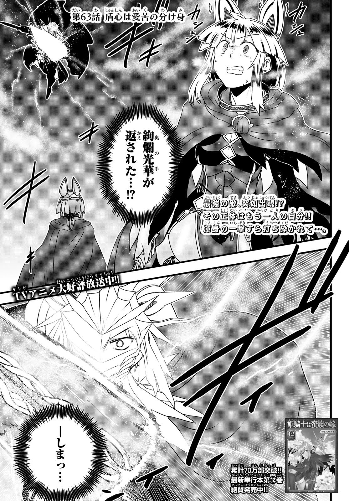 Hime Kishi wa Barbaroi no Yome Chapter 63 3ページ