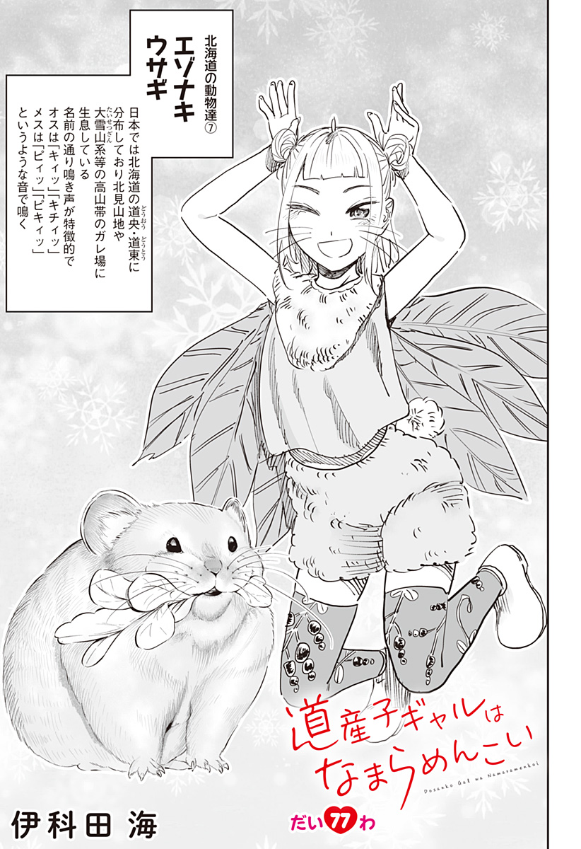 Dosanko Gal wa Namara Menkoi Chapter 77 1ページ