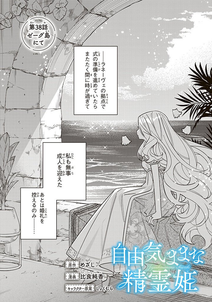 Jiyuu Kimama na Seireihime Chapter 38.1 1ページ