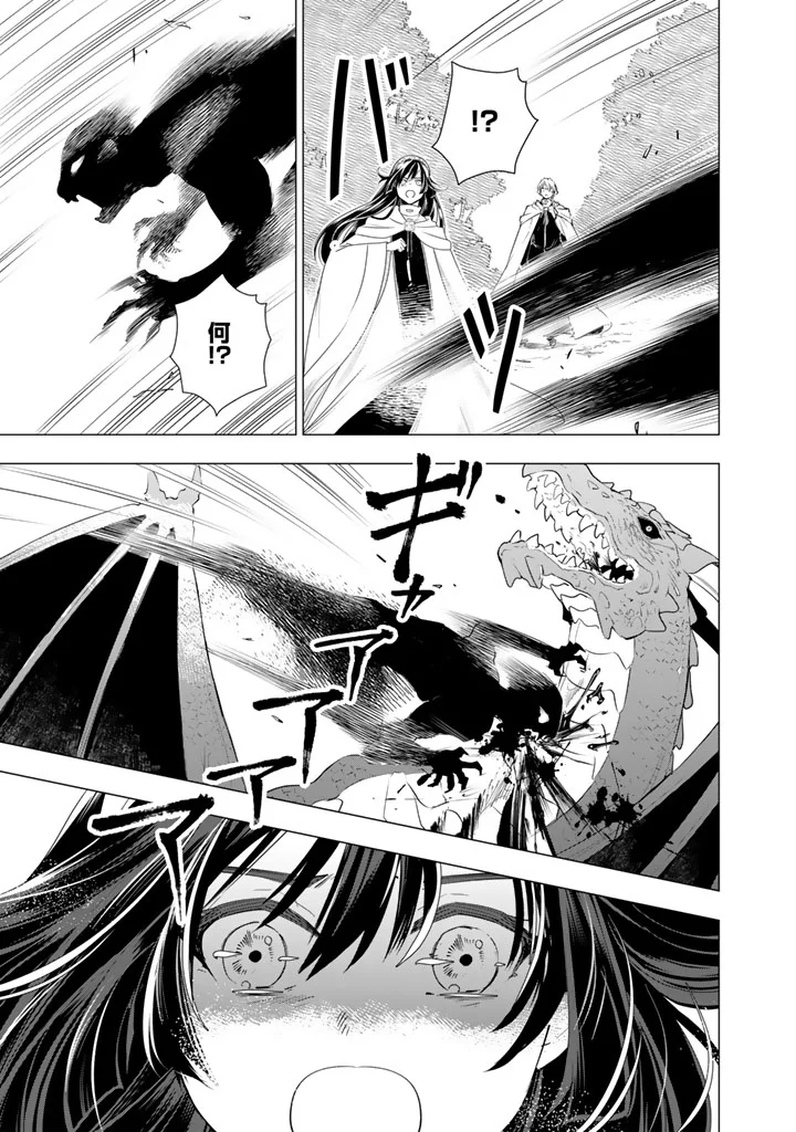 Uchi no Inu ga Tsuyosugirun desu ga? - Tensei Shitara Megami-sama no Shukufuku de Sekai wo Sukuu Koto ni narimashita Chapter 41 12ページ