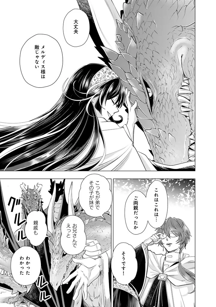 Uchi no Inu ga Tsuyosugirun desu ga? - Tensei Shitara Megami-sama no Shukufuku de Sekai wo Sukuu Koto ni narimashita Chapter 41 4ページ