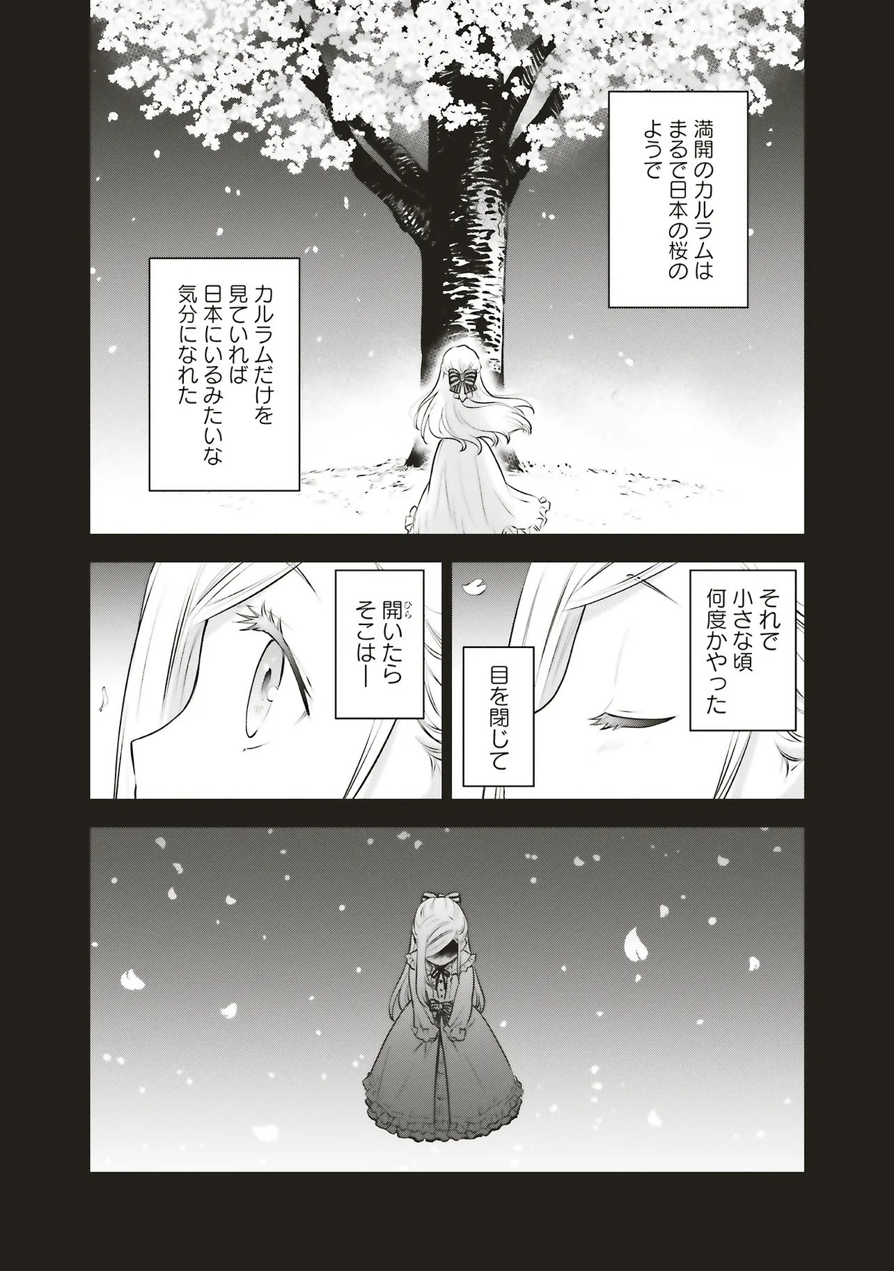 Watashi wa Gotsugou Shugi na Kaiketsu Tantou no Oujo de aru Chapter 40.1 6ページ