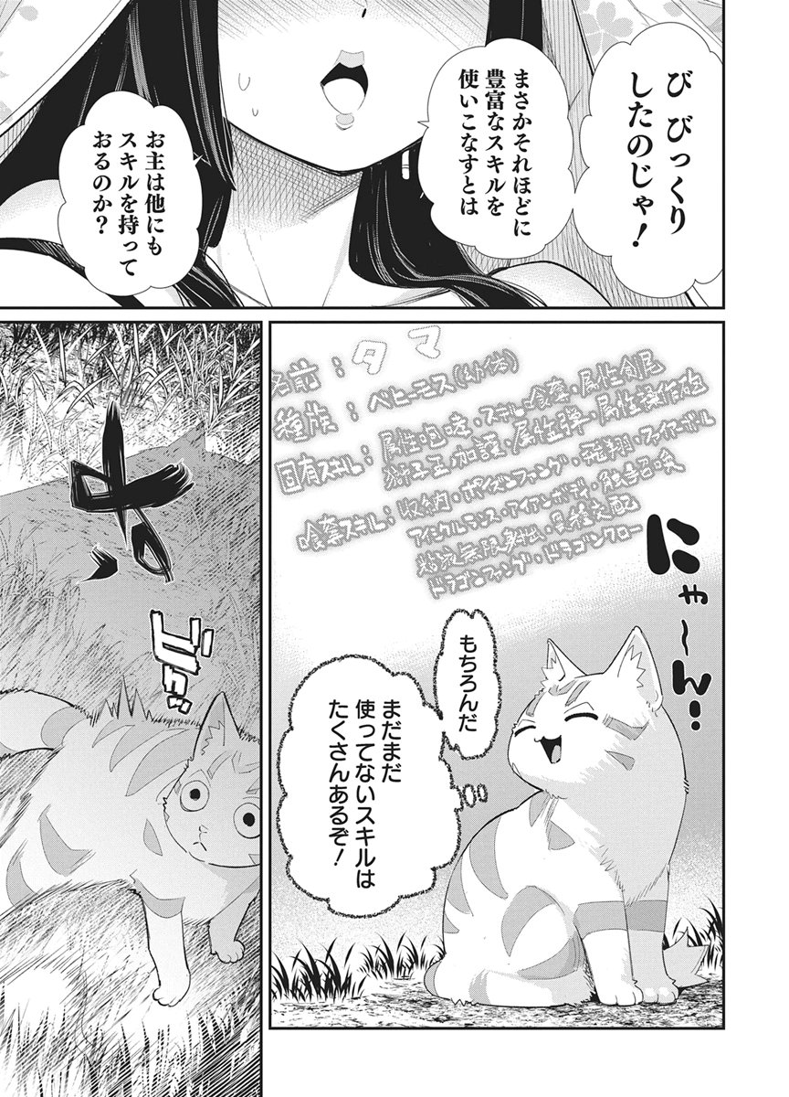 S-Rank Monster no "Behemoth" Dakedo, Neko to Machigawarete Elf Musume no Pet to Shite Kurashitemasu Chapter 88 17ページ