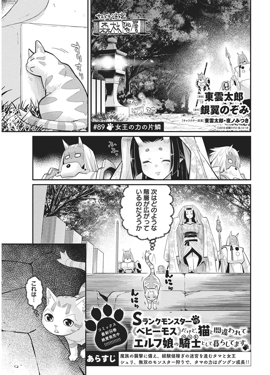S-Rank Monster no "Behemoth" Dakedo, Neko to Machigawarete Elf Musume no Pet to Shite Kurashitemasu Chapter 89 1ページ