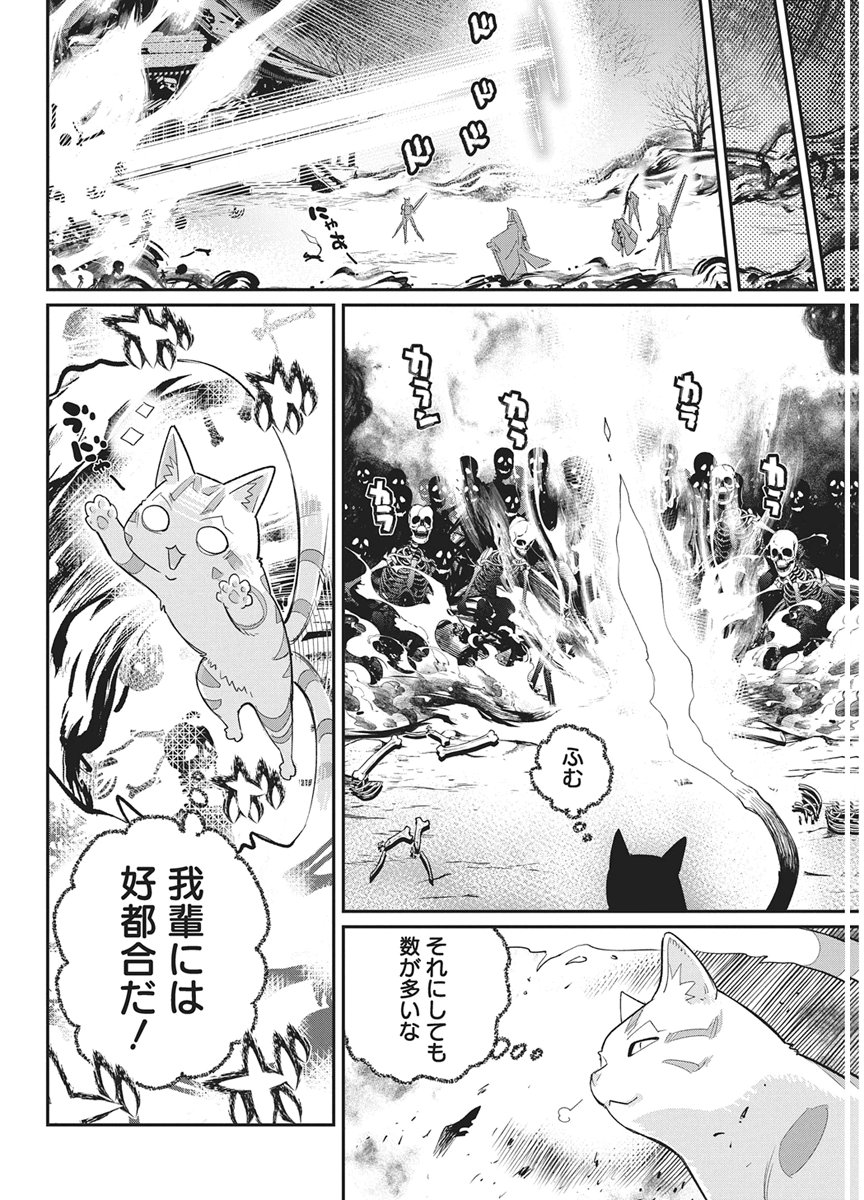 S-Rank Monster no "Behemoth" Dakedo, Neko to Machigawarete Elf Musume no Pet to Shite Kurashitemasu Chapter 89 12ページ