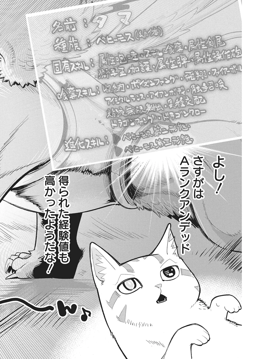 S-Rank Monster no "Behemoth" Dakedo, Neko to Machigawarete Elf Musume no Pet to Shite Kurashitemasu Chapter 90 2ページ