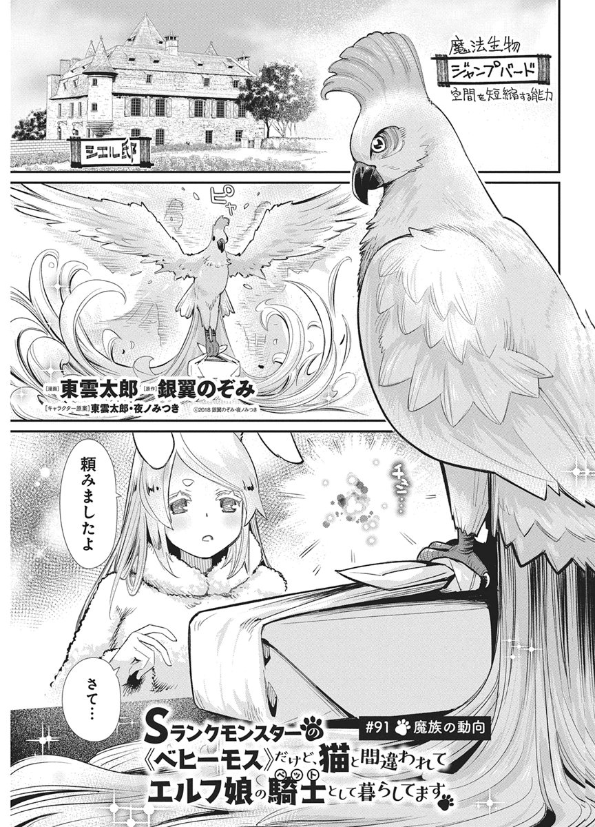 S-Rank Monster no "Behemoth" Dakedo, Neko to Machigawarete Elf Musume no Pet to Shite Kurashitemasu Chapter 91 1ページ