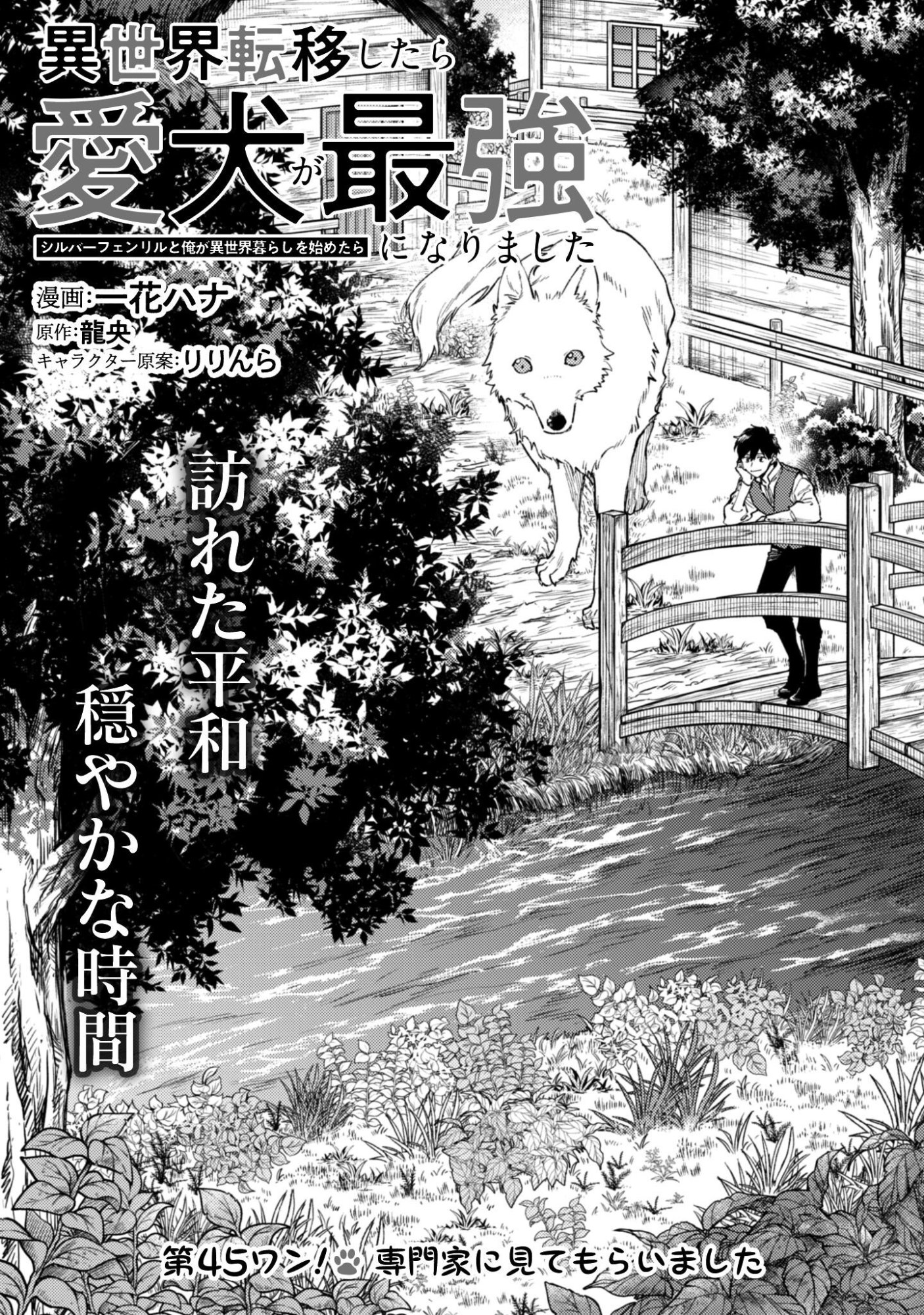 Isekai Teni shitara Aiken ga Saikyou ni narimashita - Silver Fenrir to Ore ga Isekai Kurashi wo Hajimetara Chapter 45 2ページ