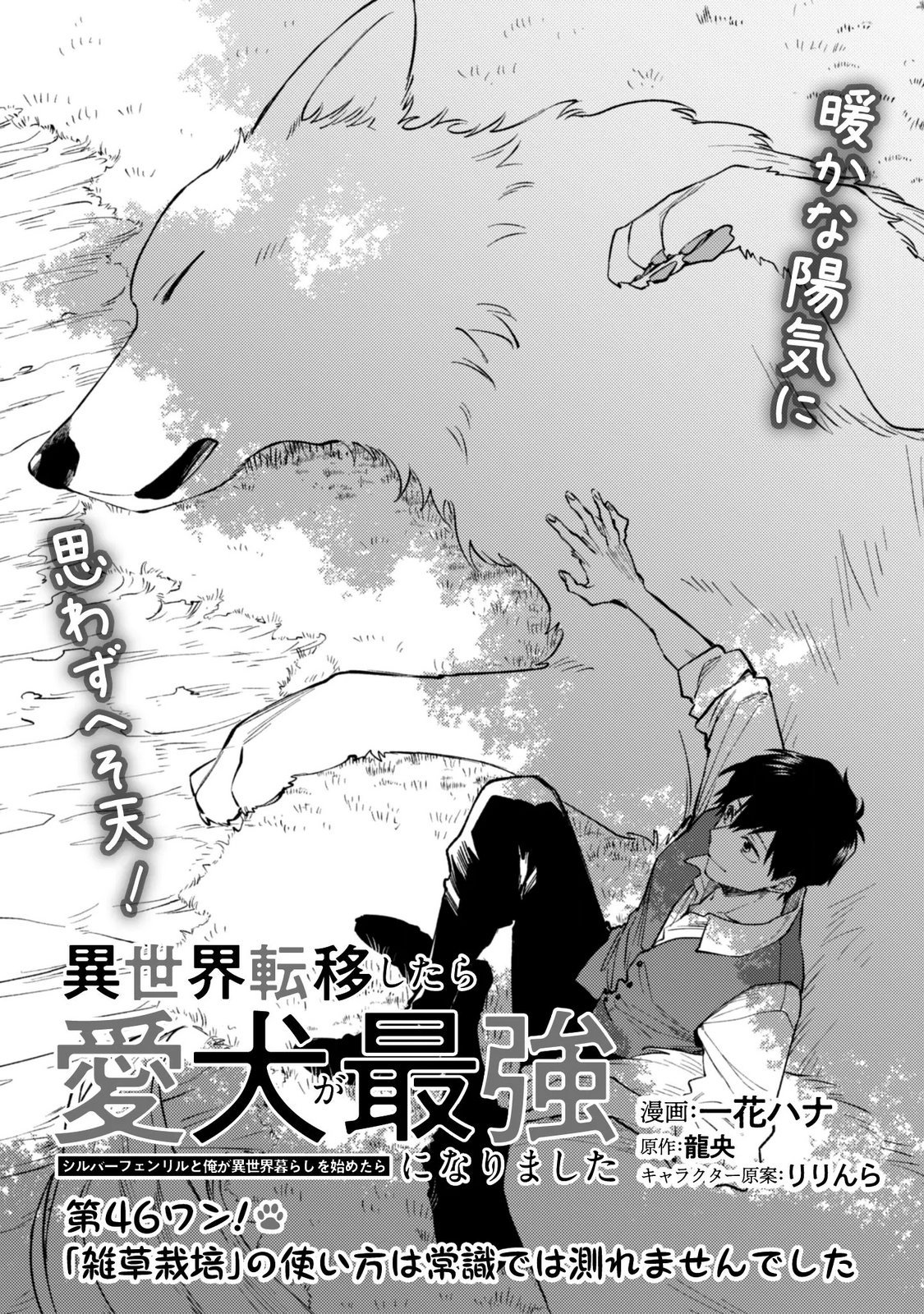 Isekai Teni shitara Aiken ga Saikyou ni narimashita - Silver Fenrir to Ore ga Isekai Kurashi wo Hajimetara Chapter 46 1ページ