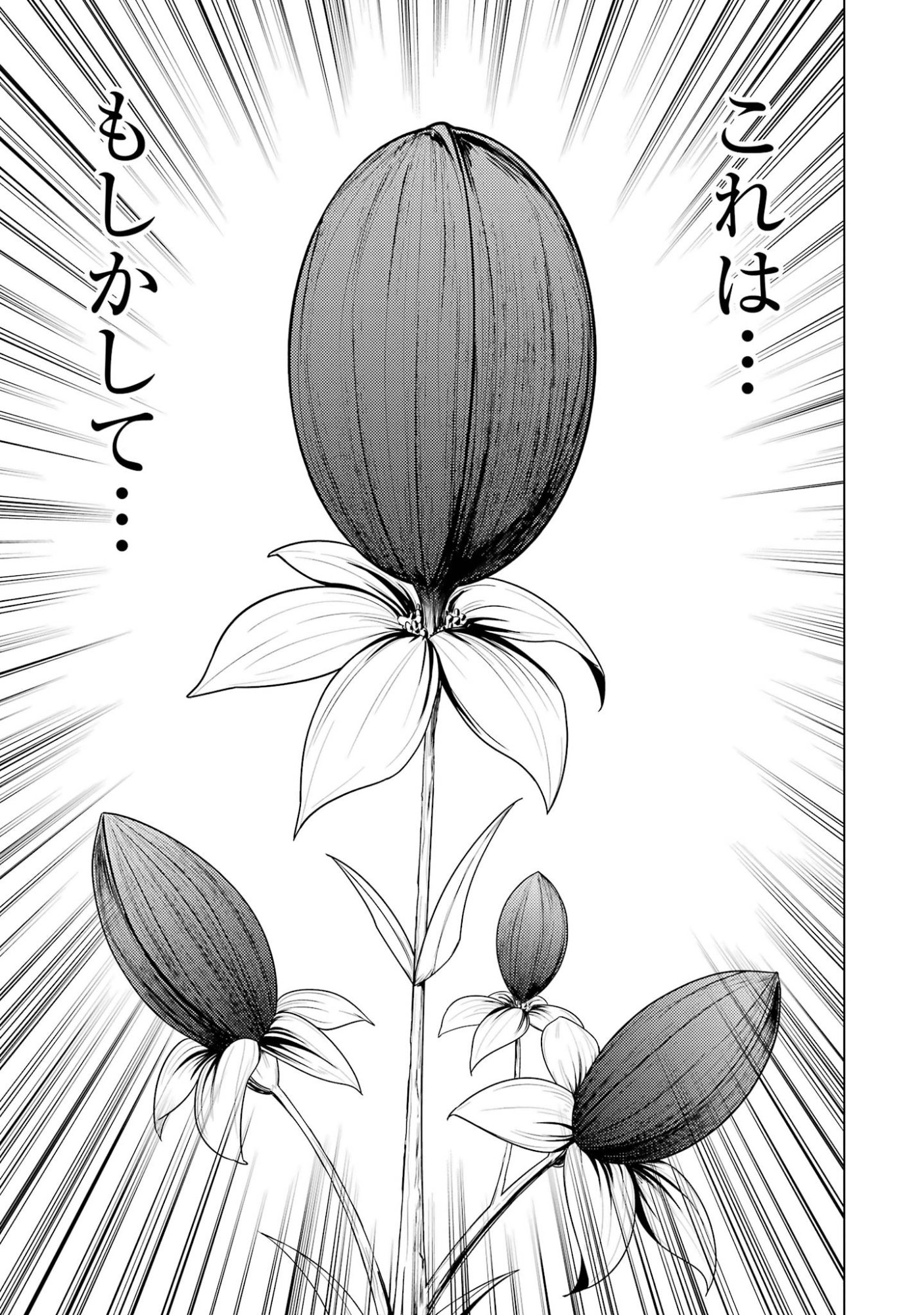 Tensei Kenja no Isekai Life: Daini no Shokugyou o Ete, Sekai Saikyou ni Narimashita Chapter 98 49ページ