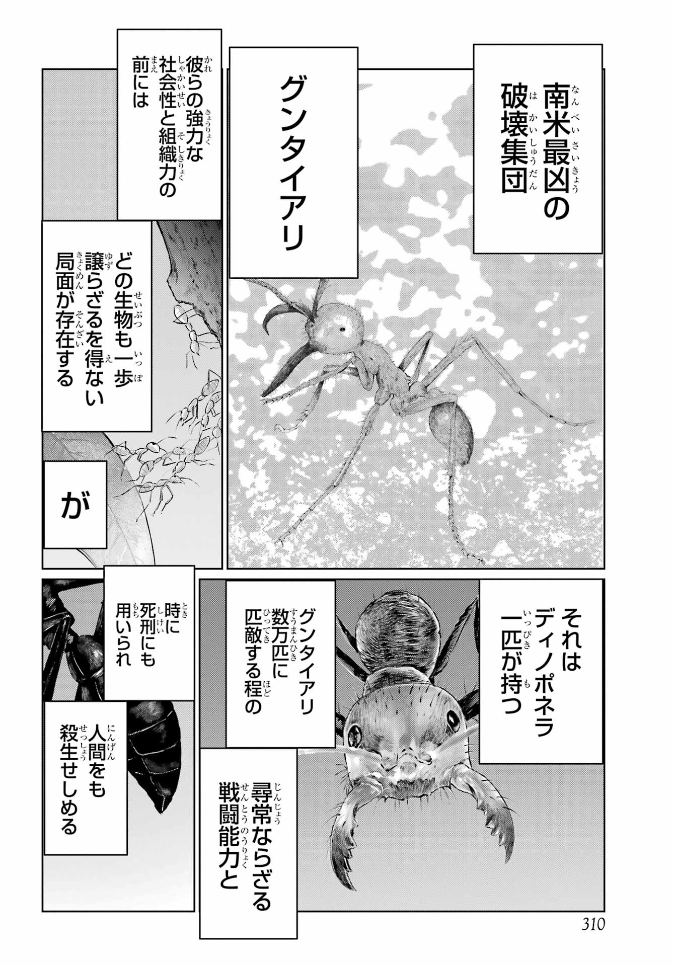 Blattodea Chapter 48 22ページ