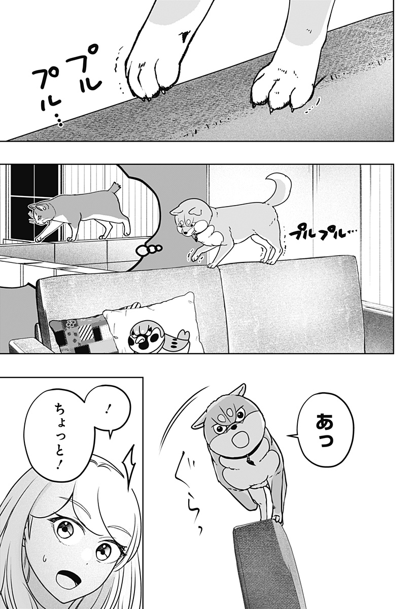 Shiba-Tsuki Bukken Chapter 53 25ページ