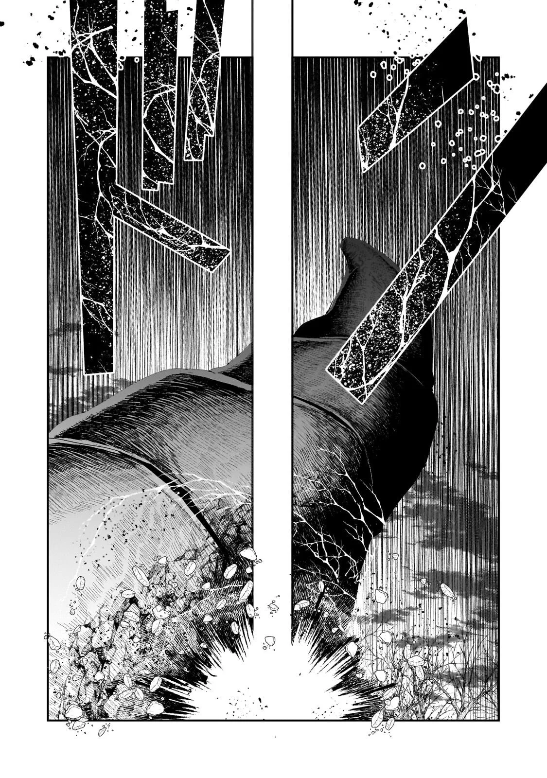 Nozomanu Fushi no Boukensha Chapter 71.1 4ページ