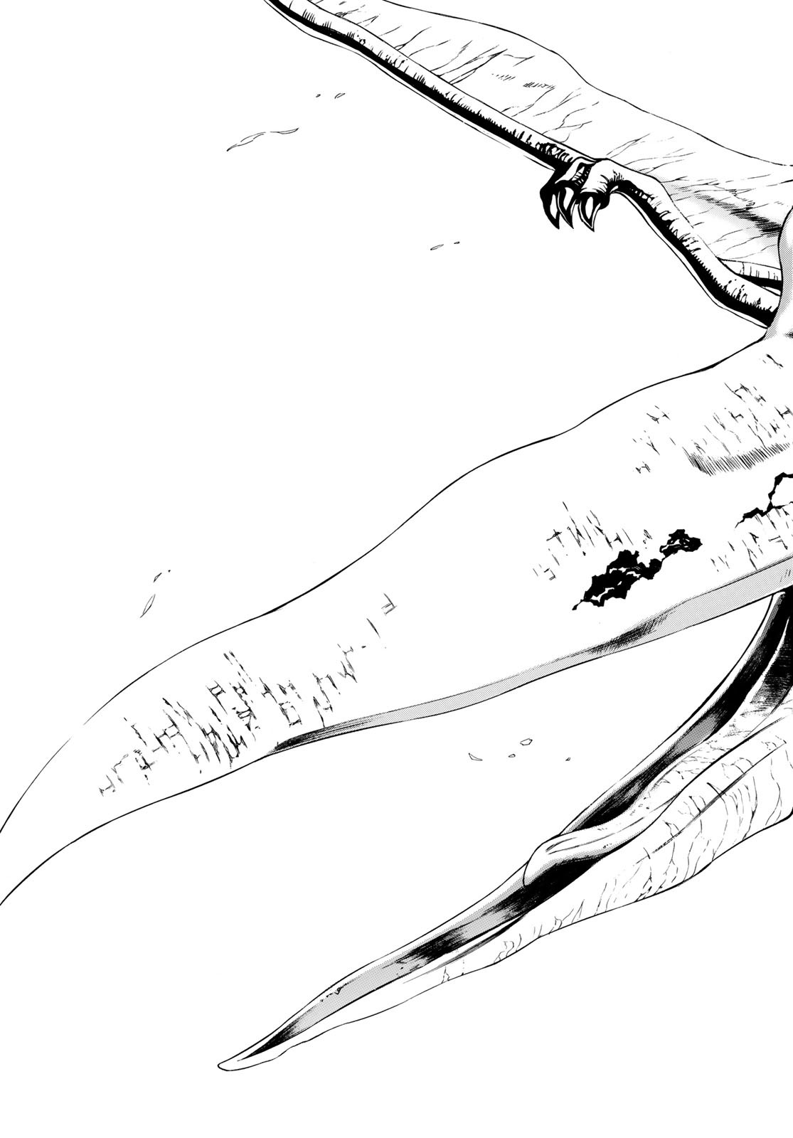 Shin Kamen Rider Spirits Chapter 110 9ページ