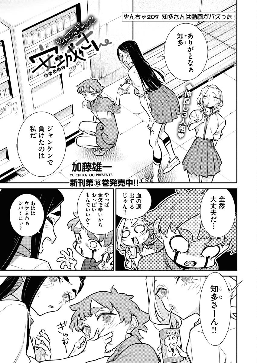 Yancha Gal no Anjou-santachi Chapter 209 1ページ
