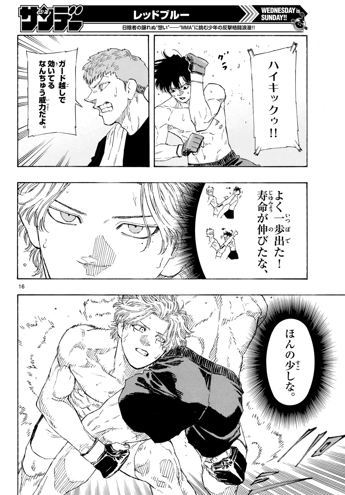 Red Blue Chapter 202 16ページ