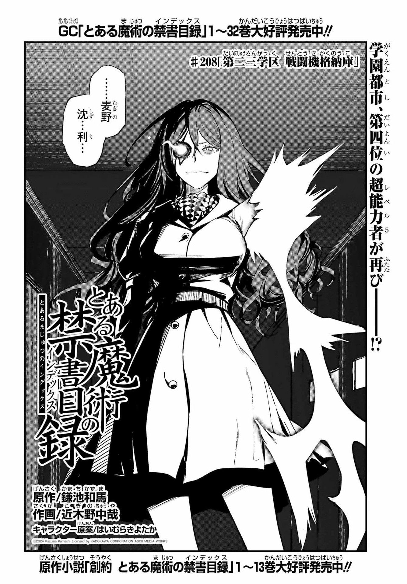 Toaru Majutsu no Index Chapter 208 2ページ