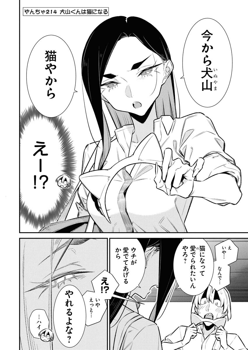 Yancha Gal no Anjou-santachi Chapter 214 2ページ