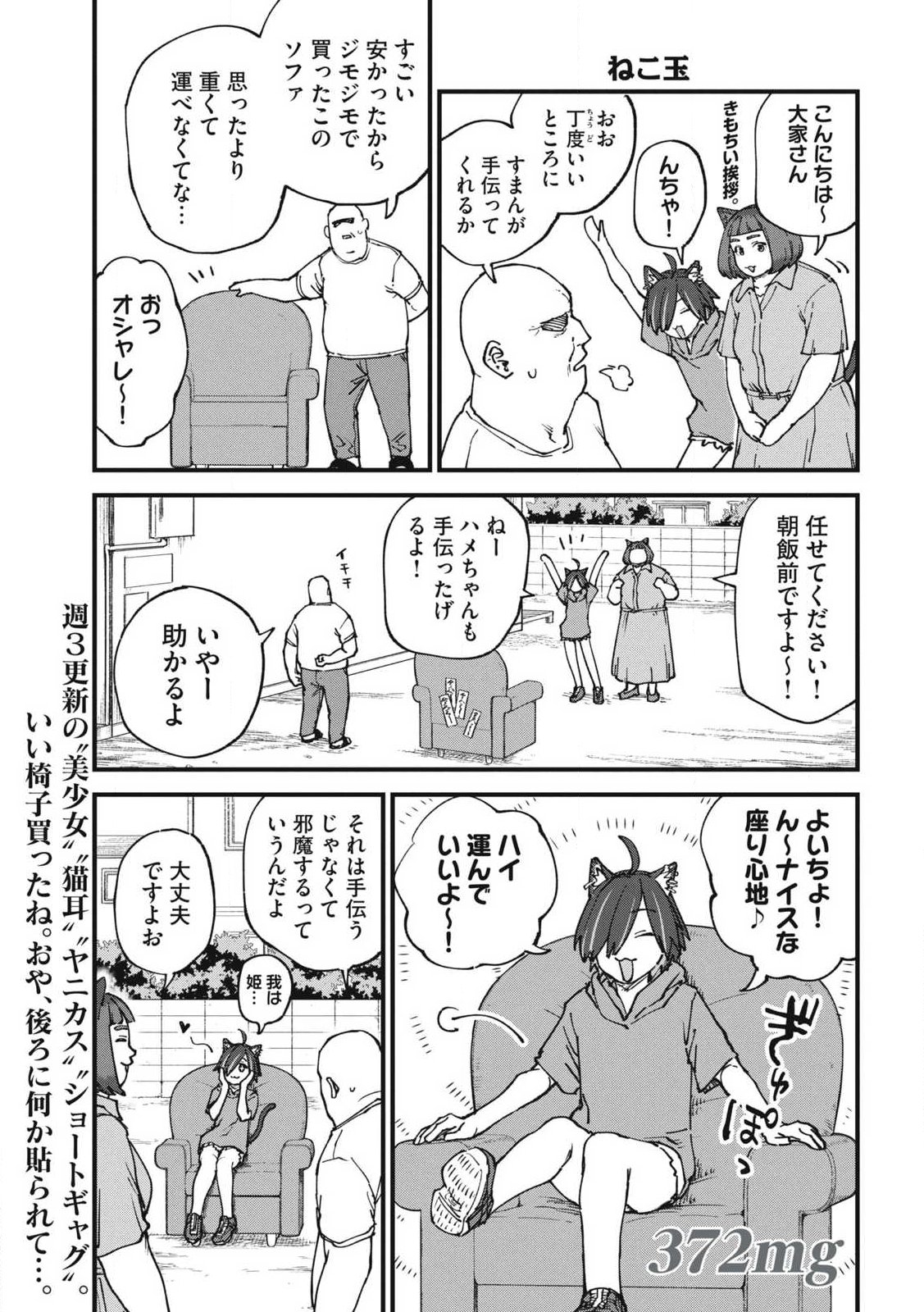 Yani Neko Chapter 372 1ページ