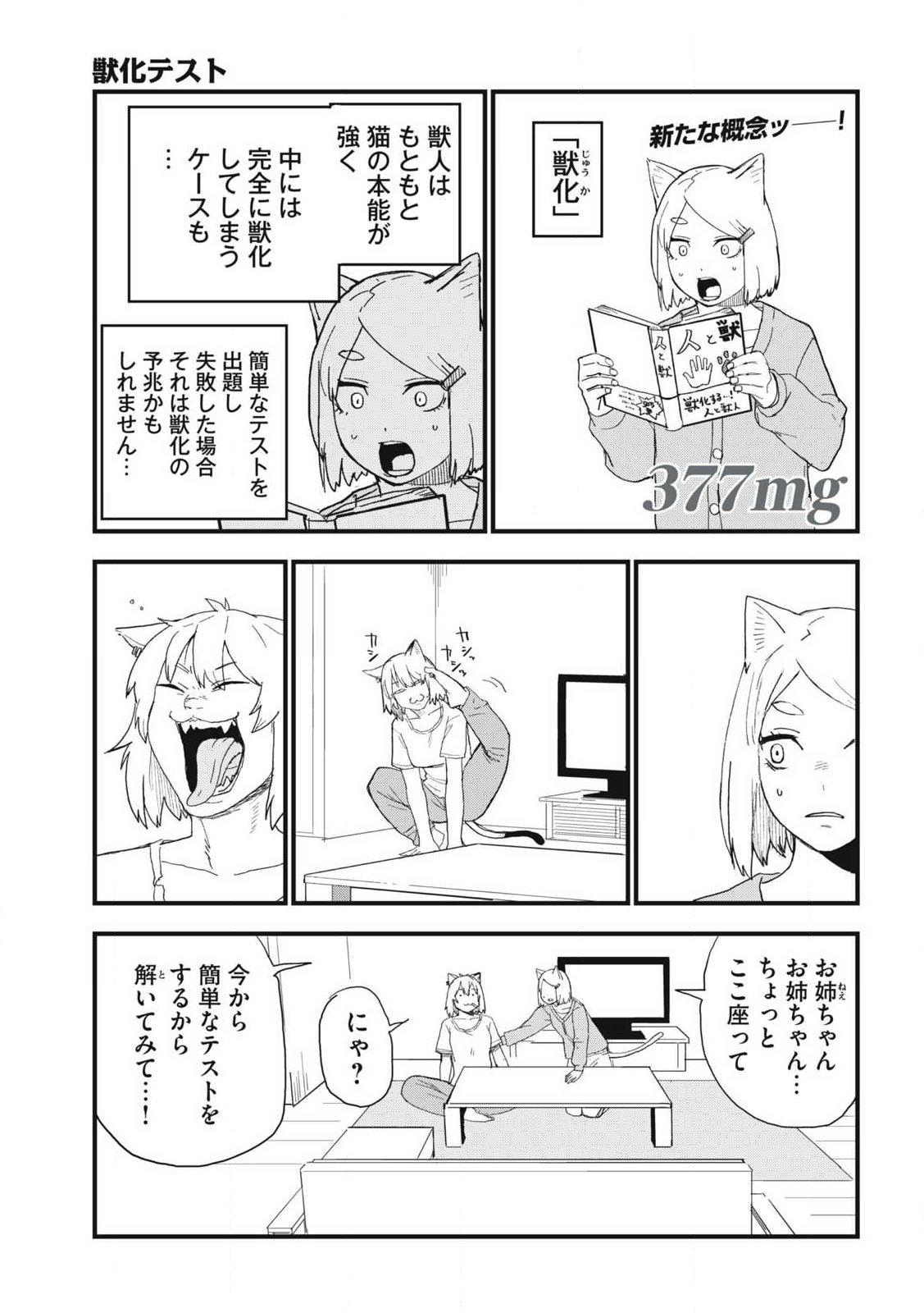 Yani Neko Chapter 377 1ページ