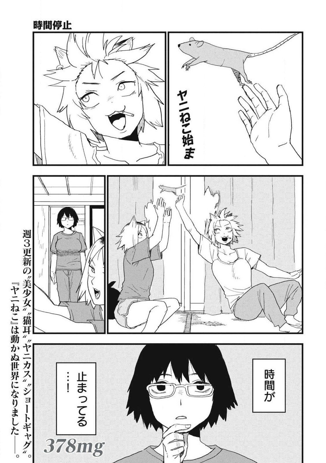 Yani Neko Chapter 378 3ページ