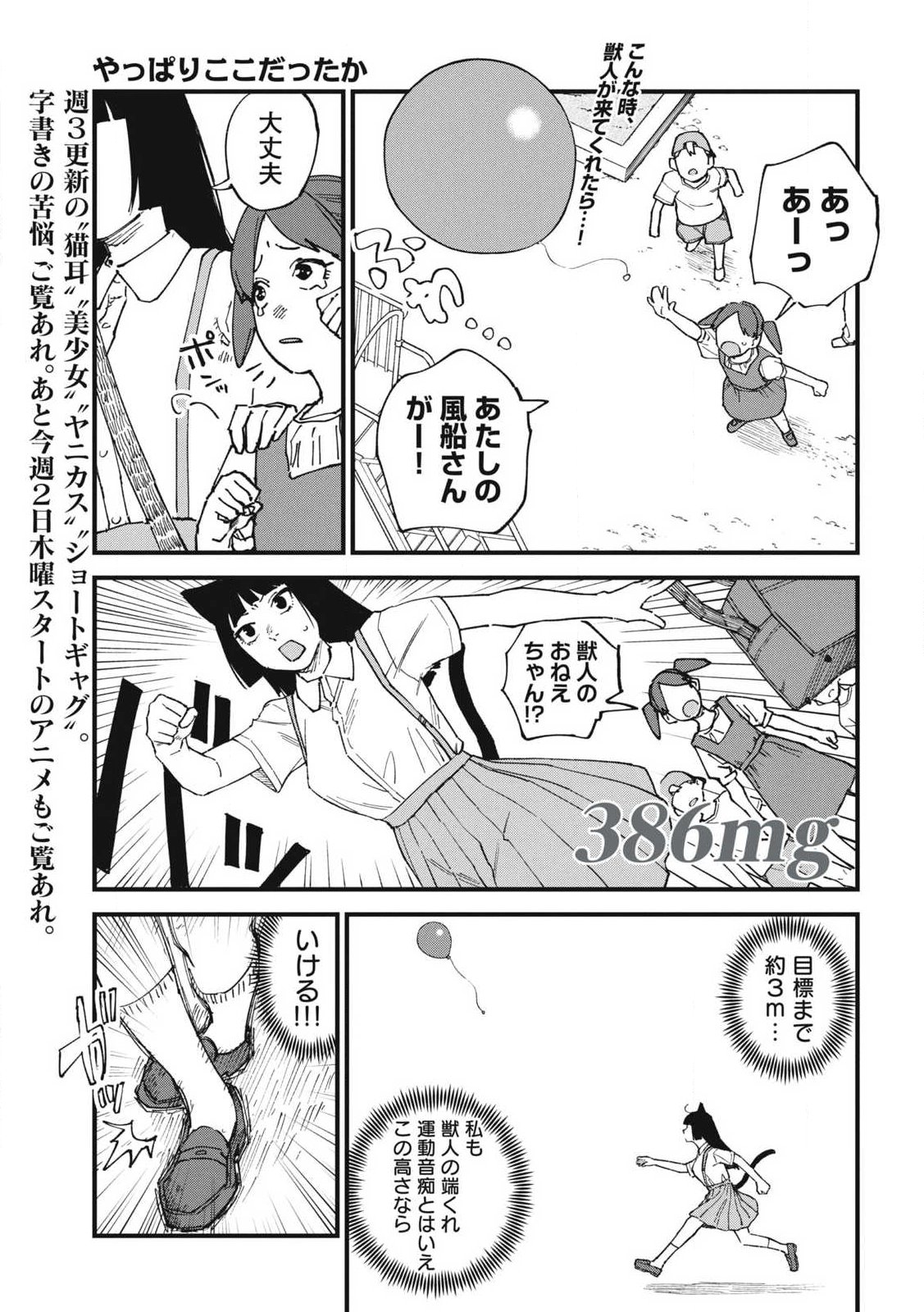 Yani Neko Chapter 386 1ページ