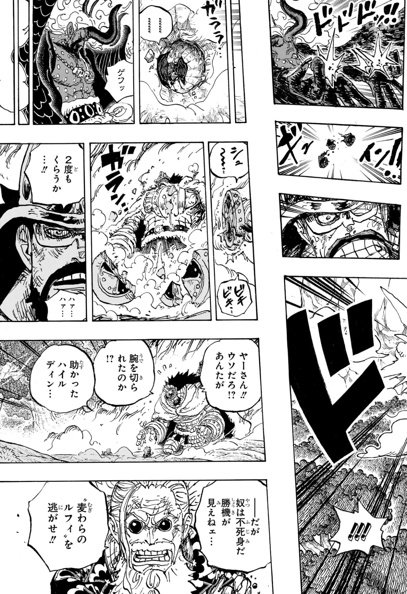 One Piece Chapter 1191 13ページ