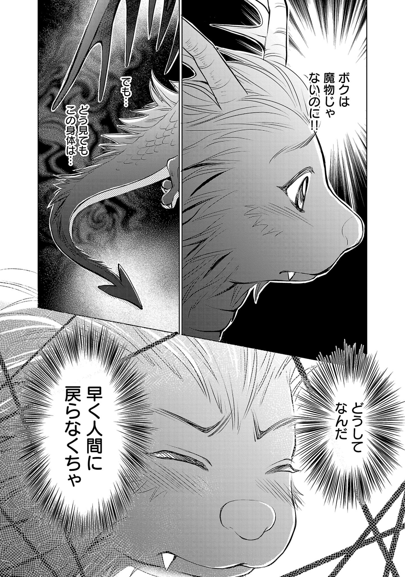 Yasashii Konyakusha no Yousu ga Hen Desu Chapter 16.2 2ページ