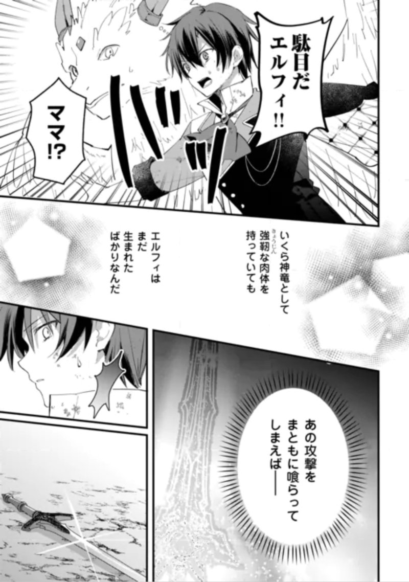 Tokage (Hontou wa Shinryuu) wo Shoukan Shita Seijuu Tsukai, Ryuu no Senaka de Kaitaku Life Chapter 29 16ページ