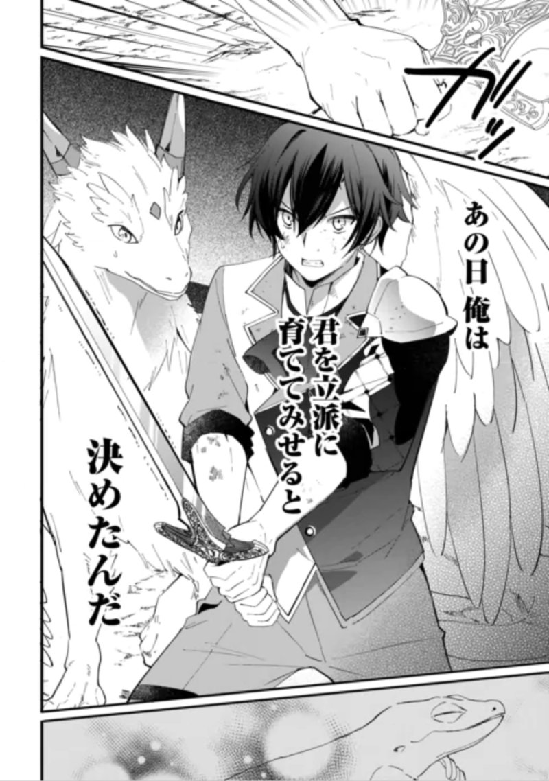Tokage (Hontou wa Shinryuu) wo Shoukan Shita Seijuu Tsukai, Ryuu no Senaka de Kaitaku Life Chapter 29 17ページ