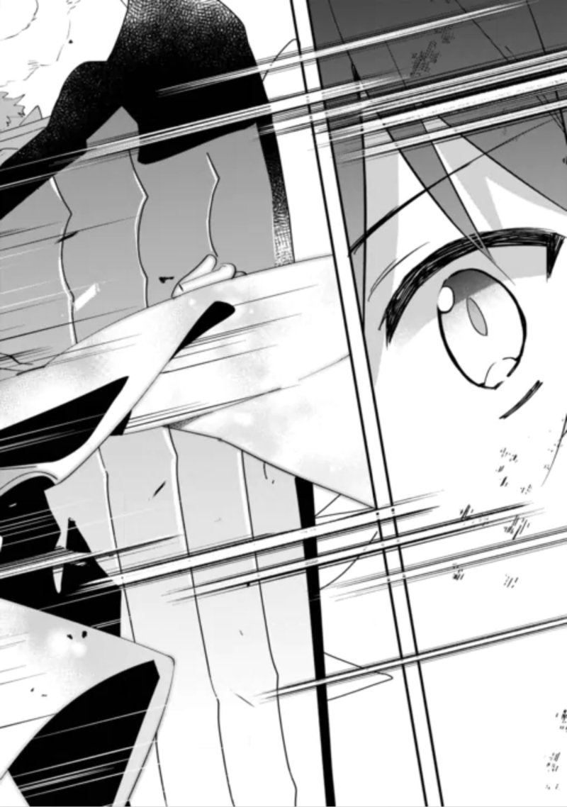 Tokage (Hontou wa Shinryuu) wo Shoukan Shita Seijuu Tsukai, Ryuu no Senaka de Kaitaku Life Chapter 29 19ページ