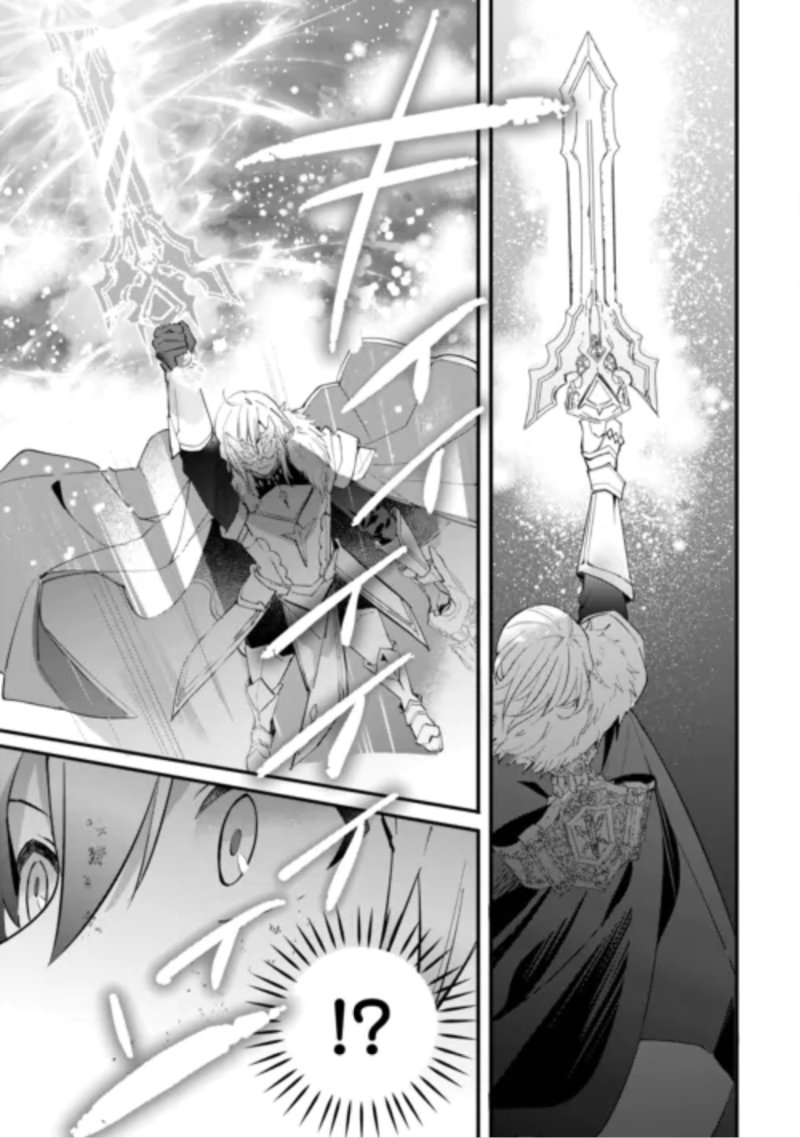 Tokage (Hontou wa Shinryuu) wo Shoukan Shita Seijuu Tsukai, Ryuu no Senaka de Kaitaku Life Chapter 29 8ページ