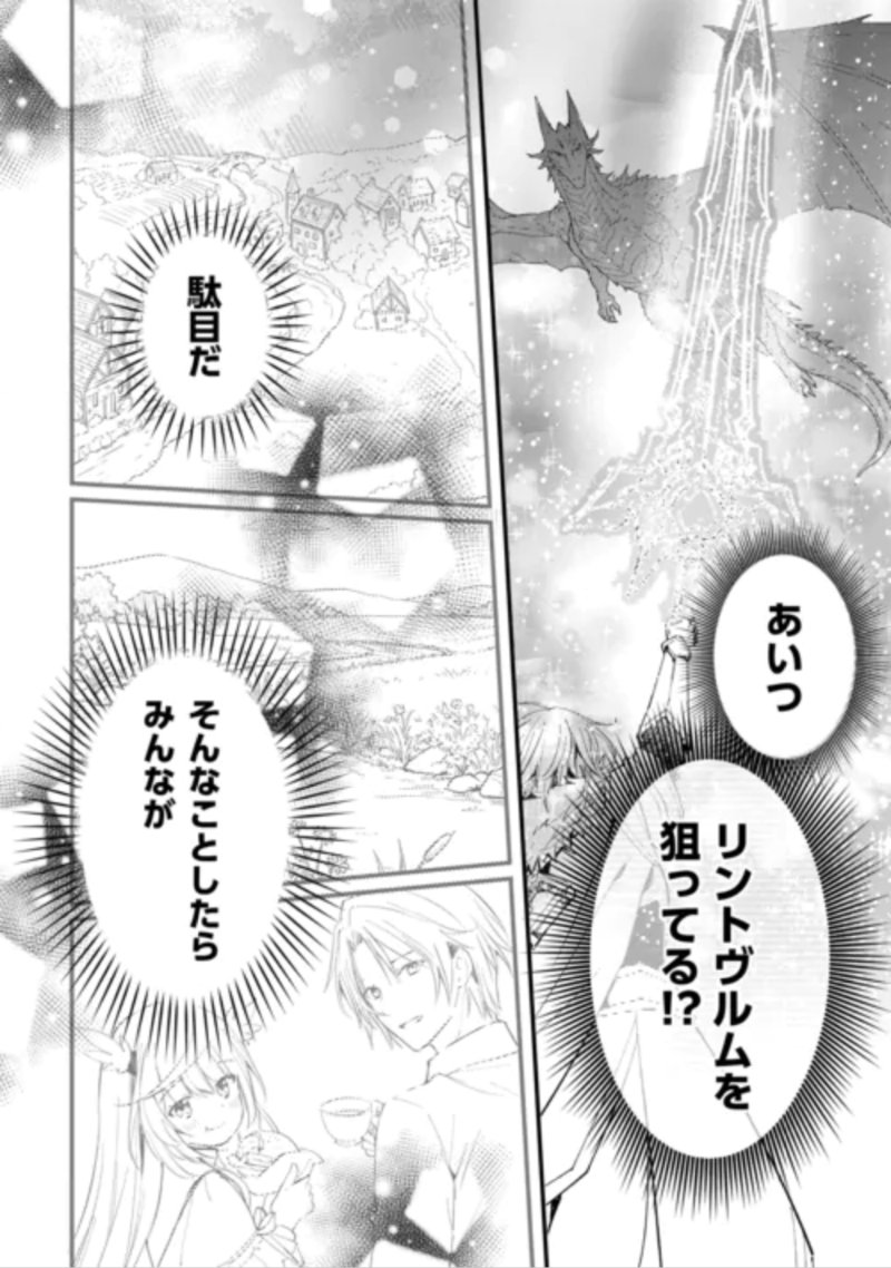 Tokage (Hontou wa Shinryuu) wo Shoukan Shita Seijuu Tsukai, Ryuu no Senaka de Kaitaku Life Chapter 29 9ページ