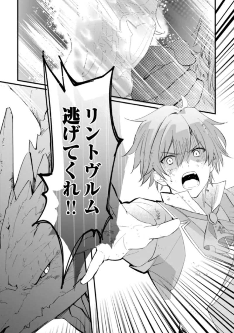 Tokage (Hontou wa Shinryuu) wo Shoukan Shita Seijuu Tsukai, Ryuu no Senaka de Kaitaku Life Chapter 29 10ページ