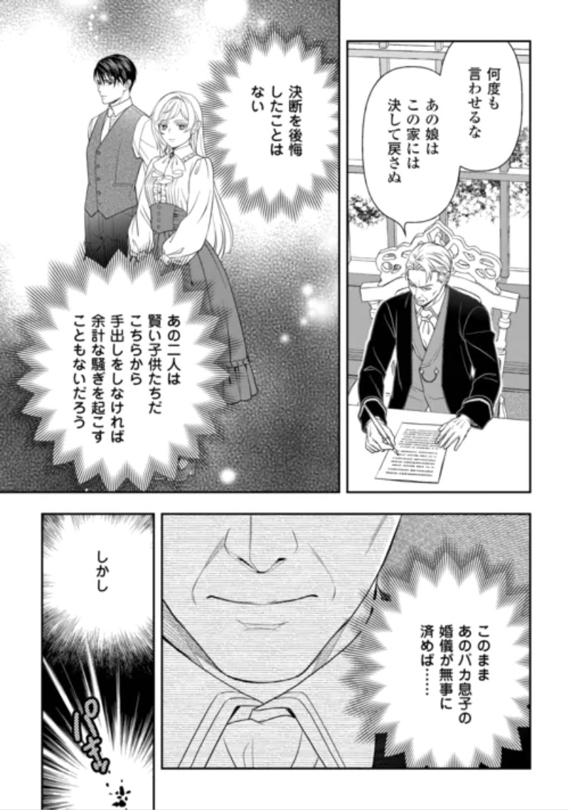 Tsuihou Sareta Saikyou Reijou wa, Aratana Jinsei wo Jiyuu ni Ikiru Chapter 12 27ページ