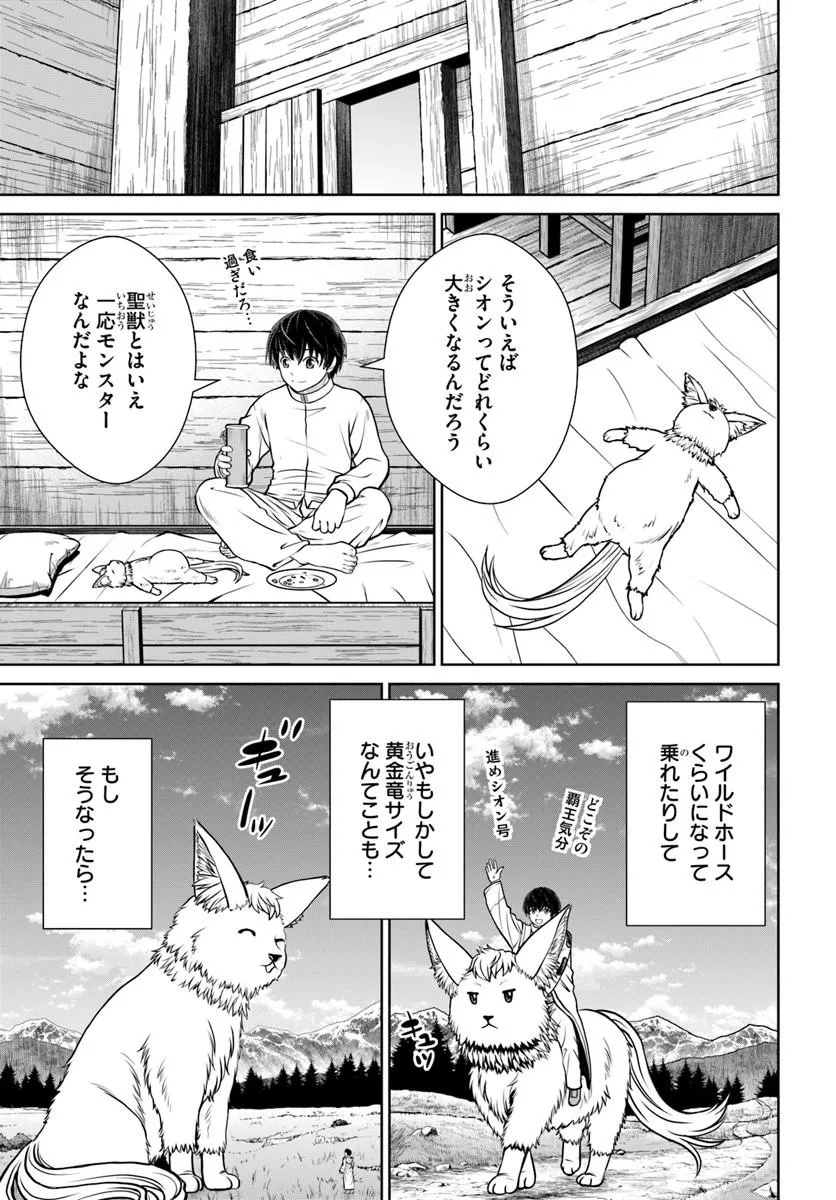 Gokufuri Kyohi Shite Tesaguri Start! Tokka Shinai Healer, Nakama to Wakarete Tabi ni Deru Chapter 74 19ページ