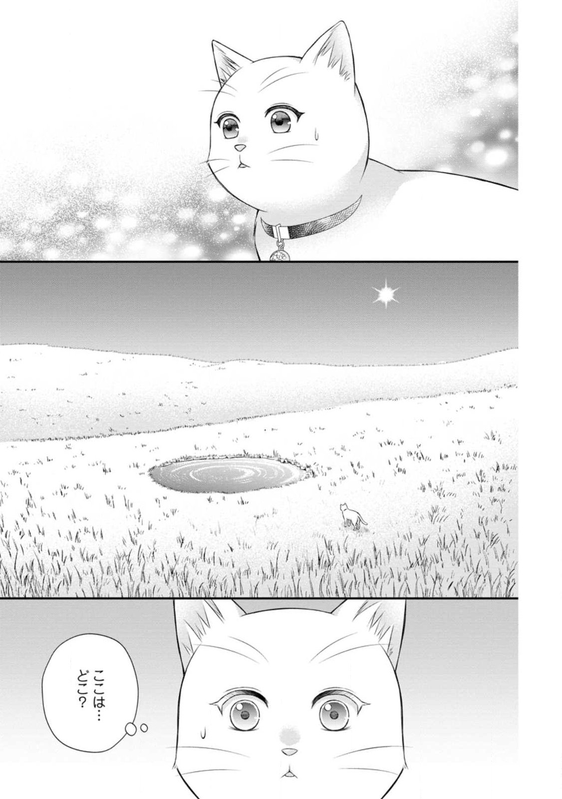 Noroi de Neko ni Sareta Akujo, Outaishi ni Hirowareru. Chapter 23.1 1ページ