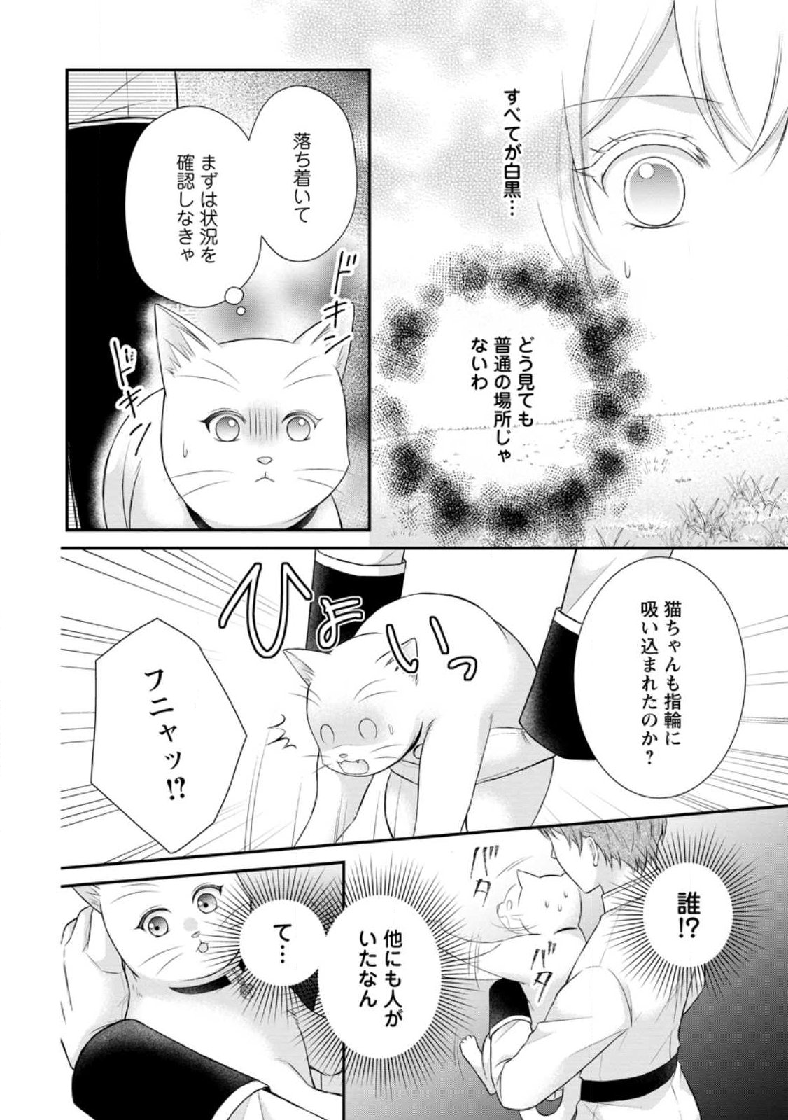 Noroi de Neko ni Sareta Akujo, Outaishi ni Hirowareru. Chapter 23.1 2ページ
