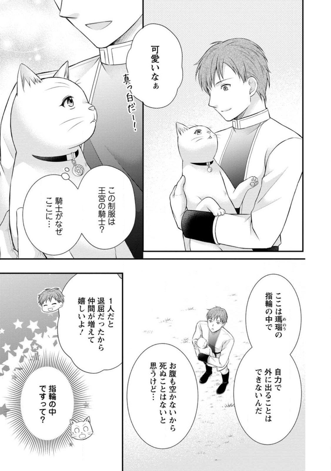 Noroi de Neko ni Sareta Akujo, Outaishi ni Hirowareru. Chapter 23.1 3ページ