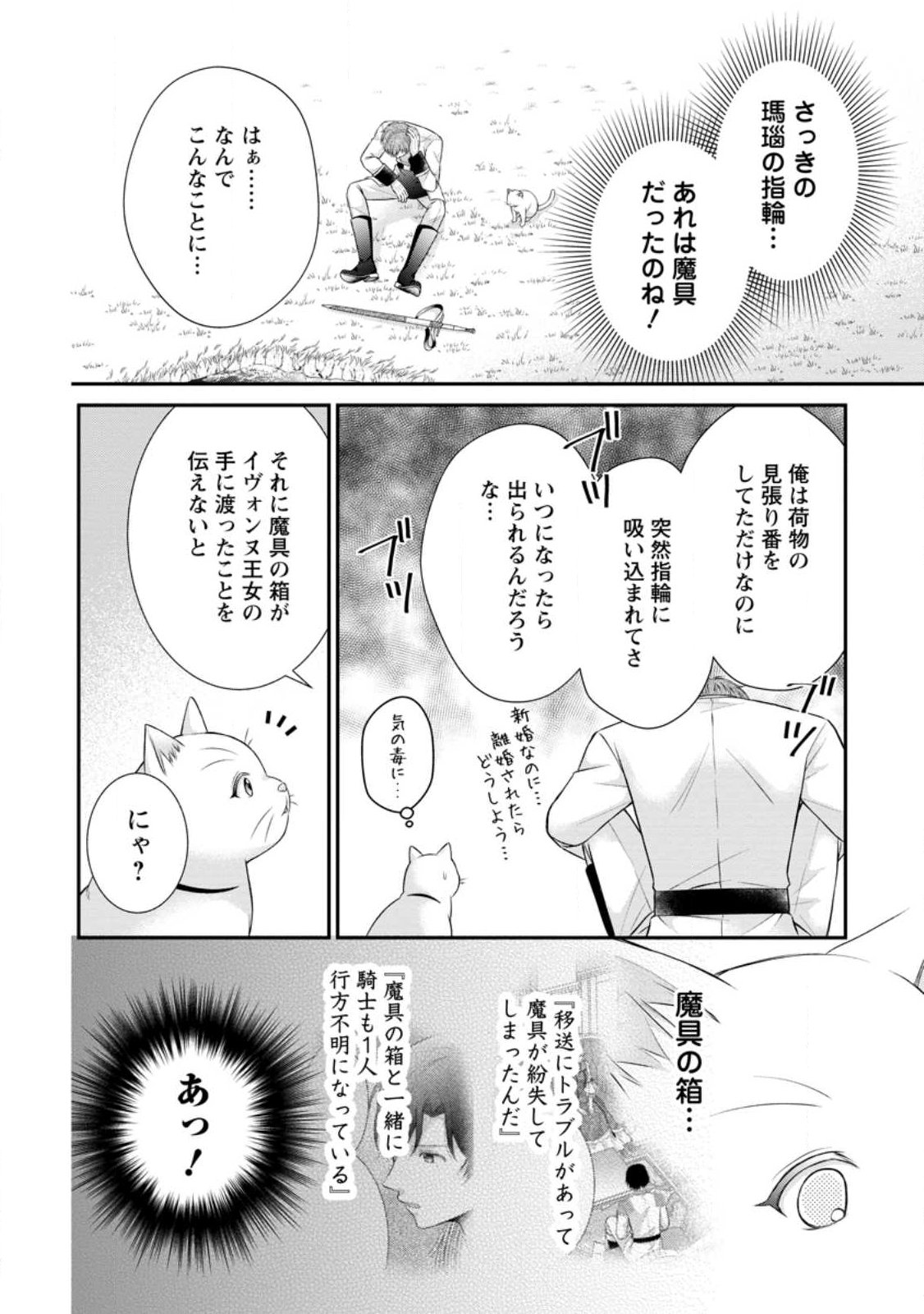 Noroi de Neko ni Sareta Akujo, Outaishi ni Hirowareru. Chapter 23.1 4ページ