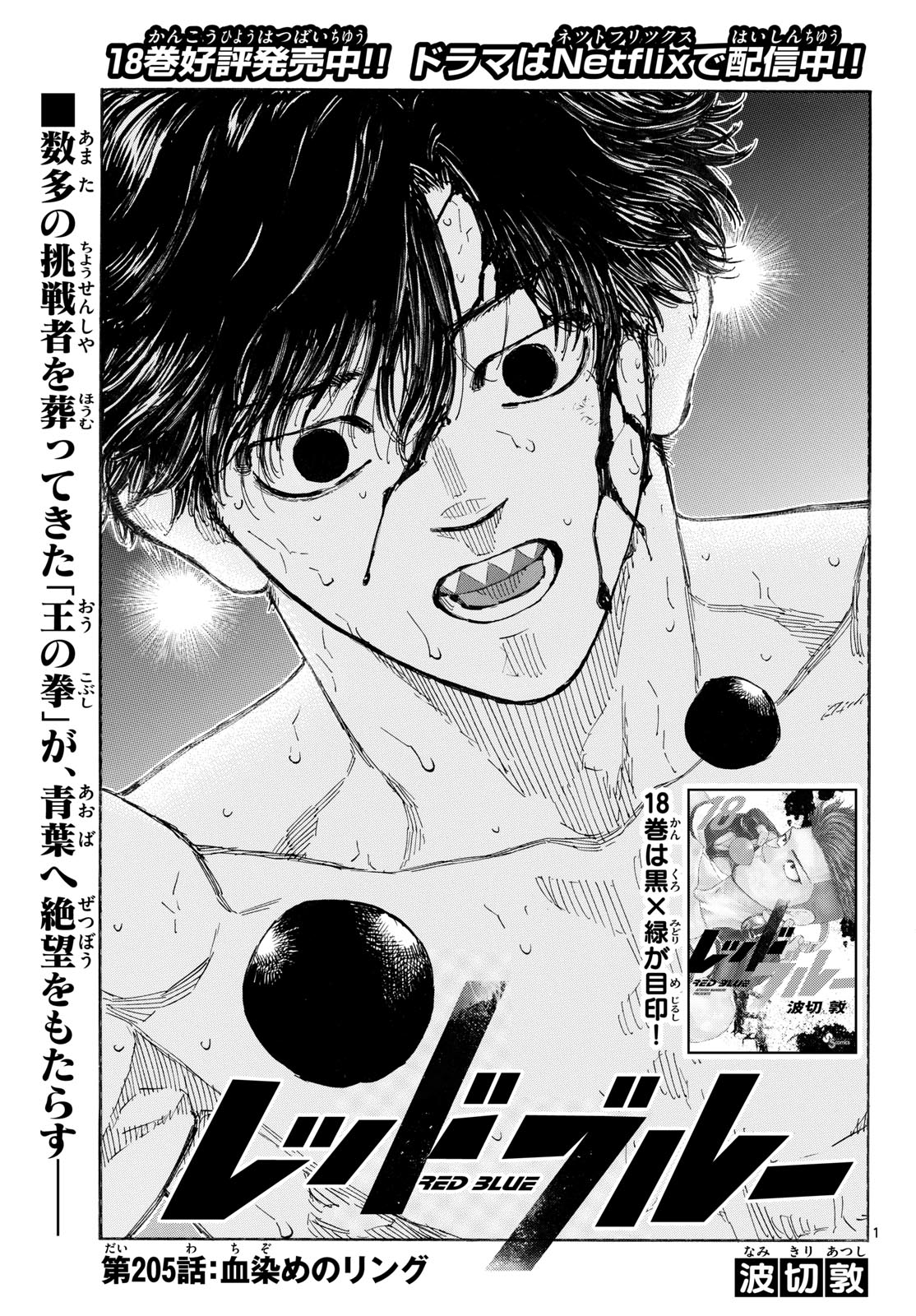 Red Blue Chapter 205 1ページ
