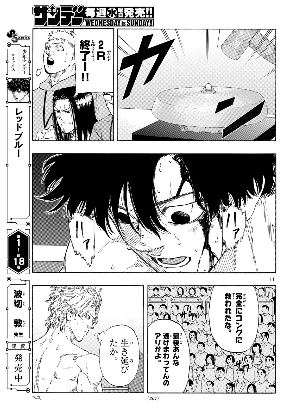 Red Blue Chapter 205 11ページ