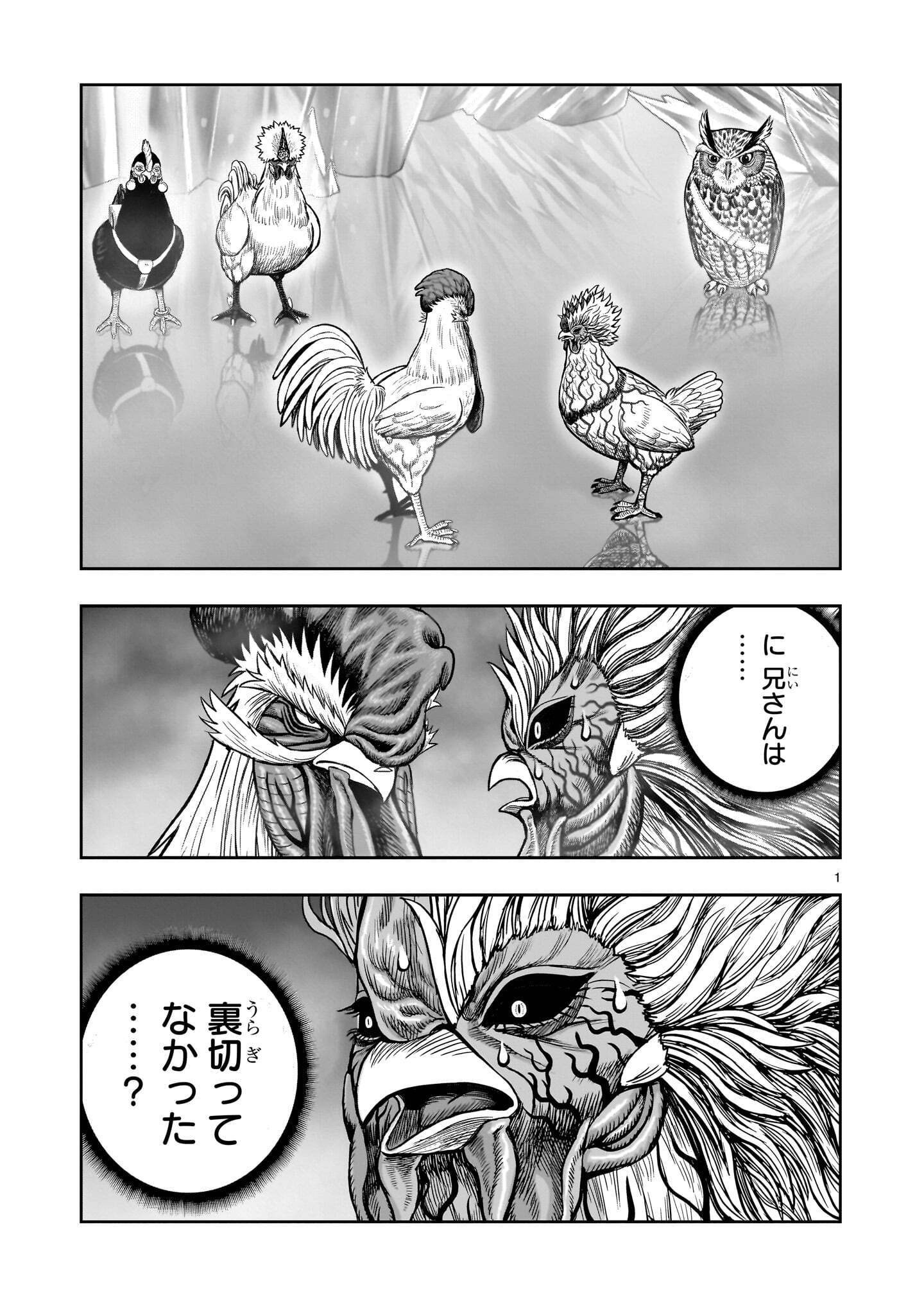 Niwatori Fighter Chapter 62.1 1ページ