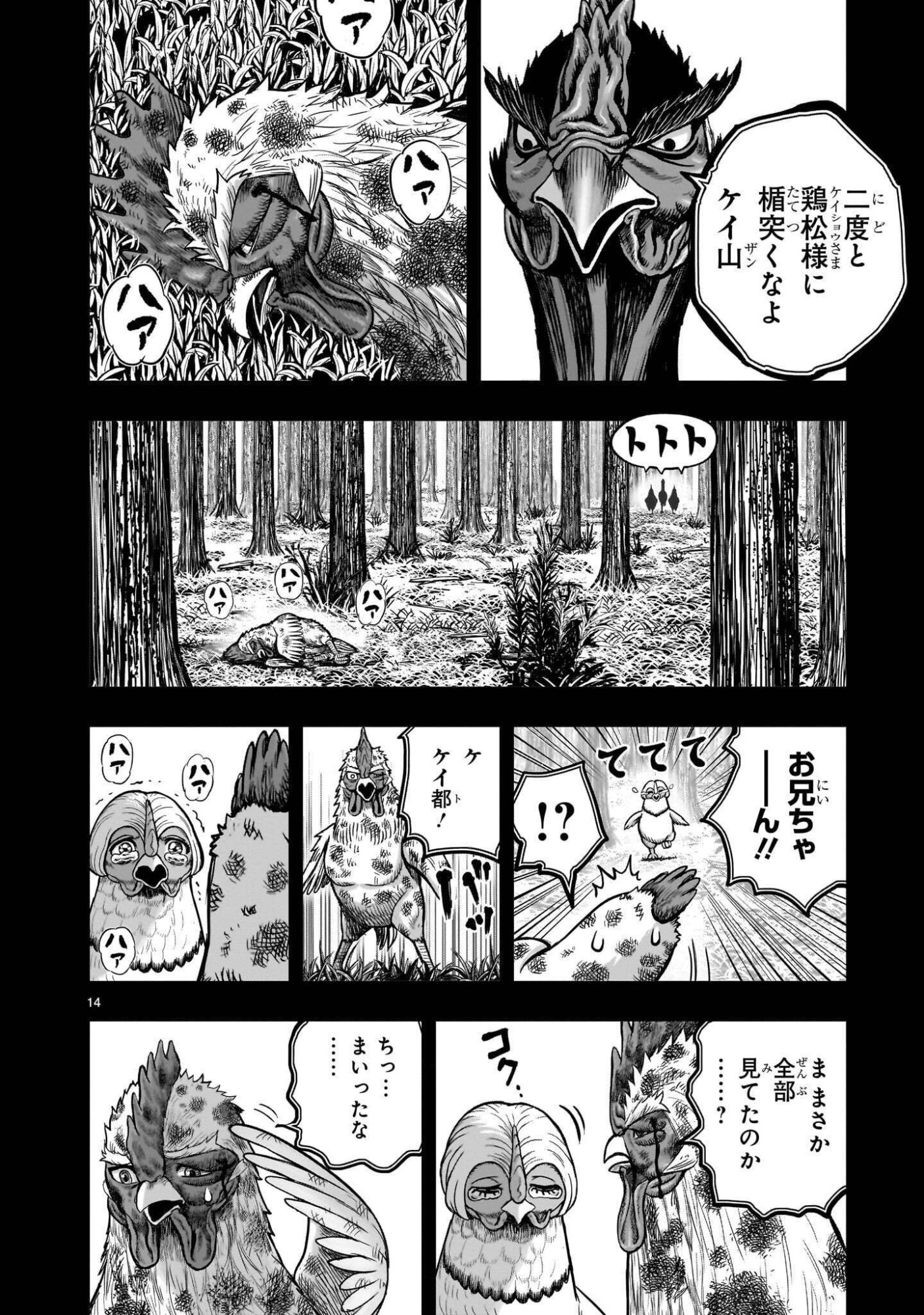Niwatori Fighter Chapter 62.1 14ページ