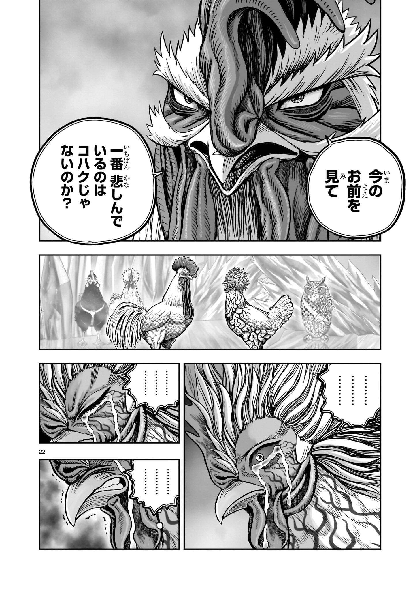 Niwatori Fighter Chapter 62.1 22ページ
